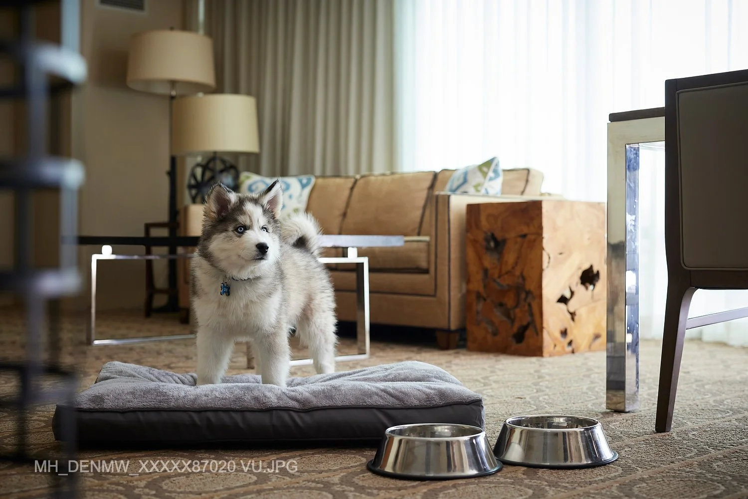 MH_DENMW_XXXXX87020 VU.JPG