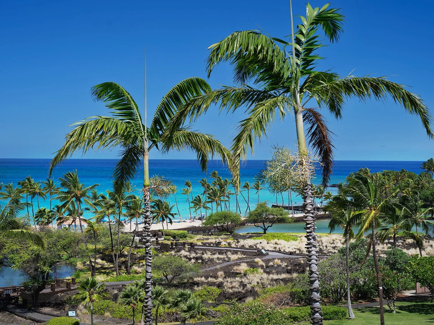 Waikoloa MVC room 5115 TBOV 2BR SUITE  1 king 2 queen view.TIF.JPG