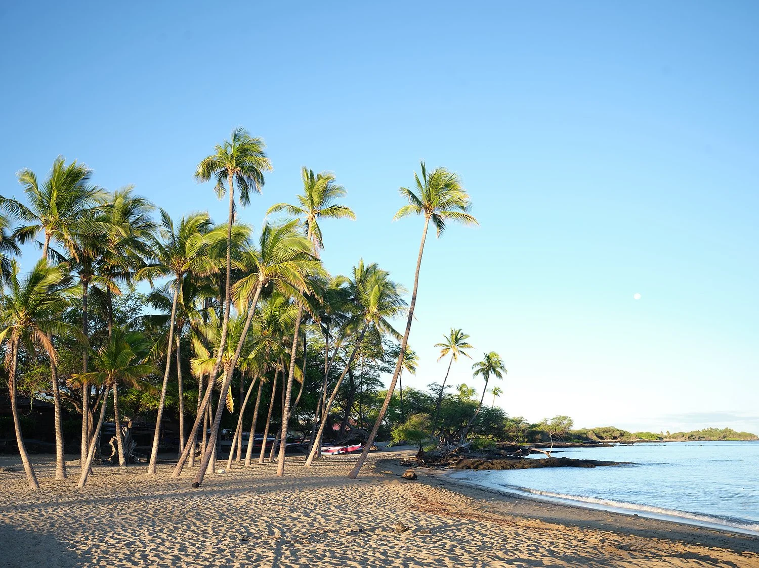 Waikoloa beach A.JPG