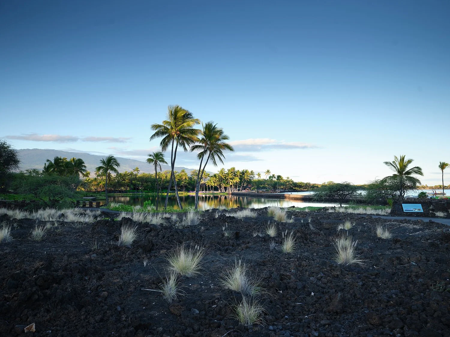 Waikoloa fish pont.JPG