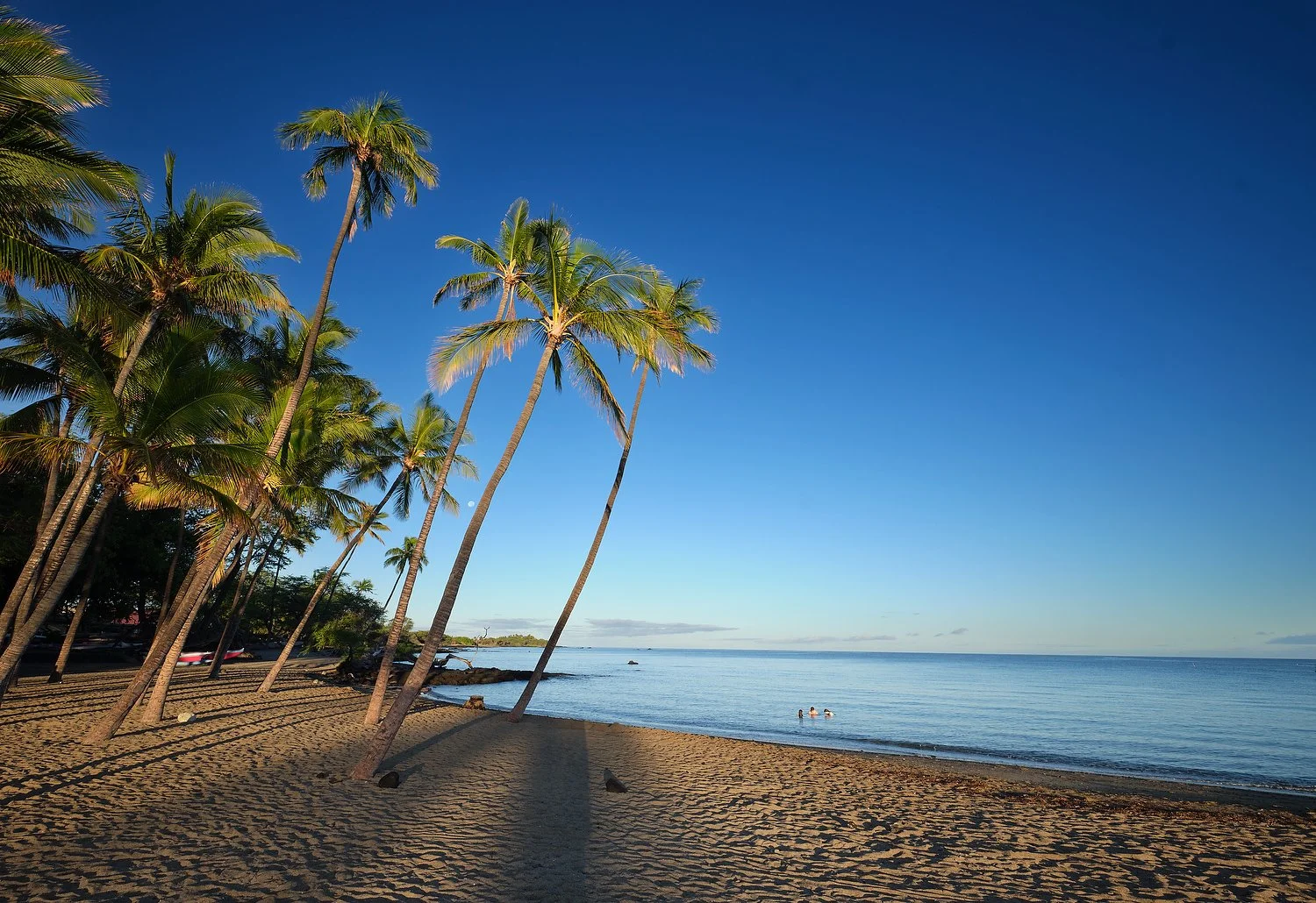 Waikoloa MVC beach 1.TIF.JPG