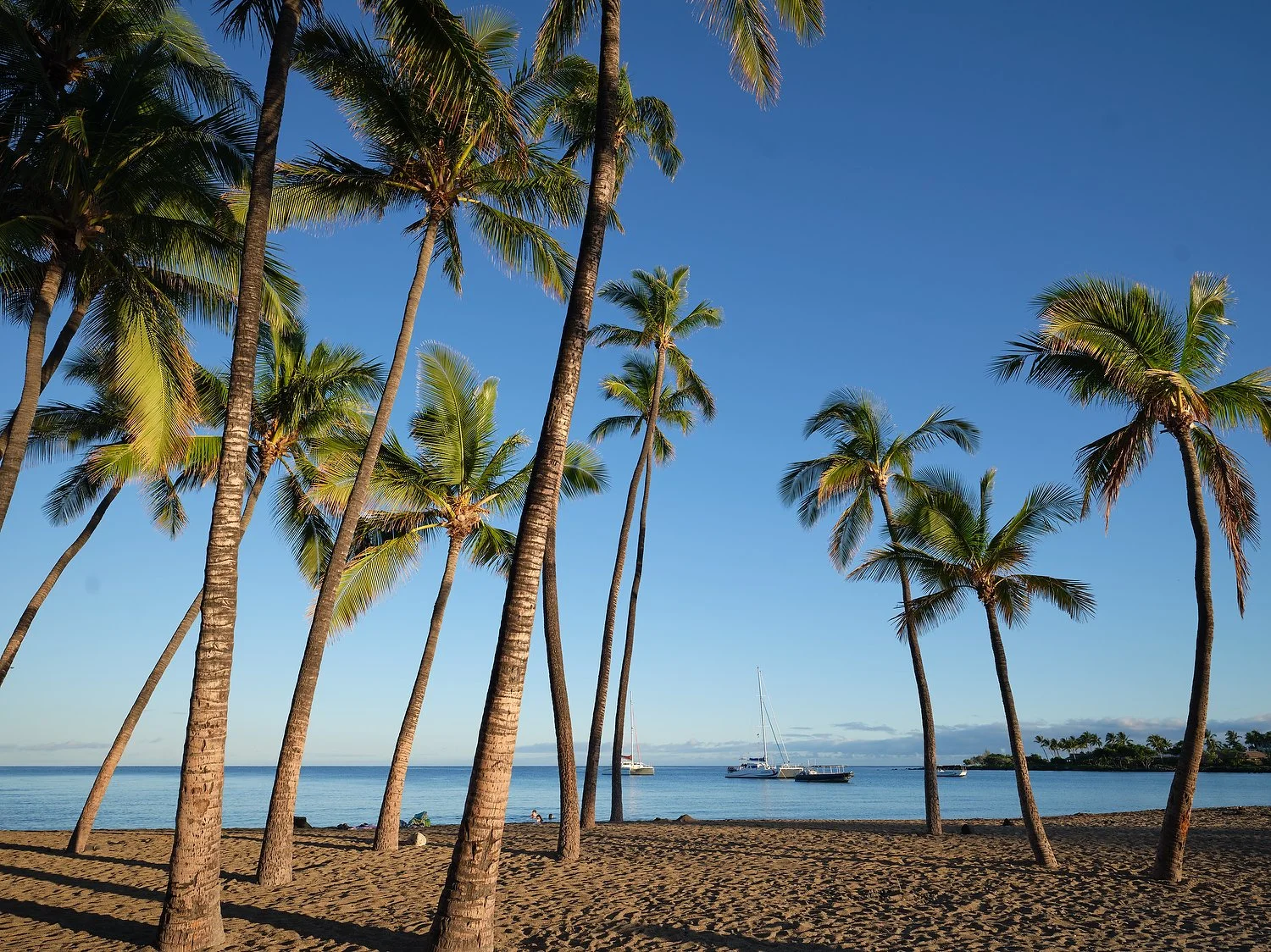 Waikoloa MVC beach 2.TIF.JPG