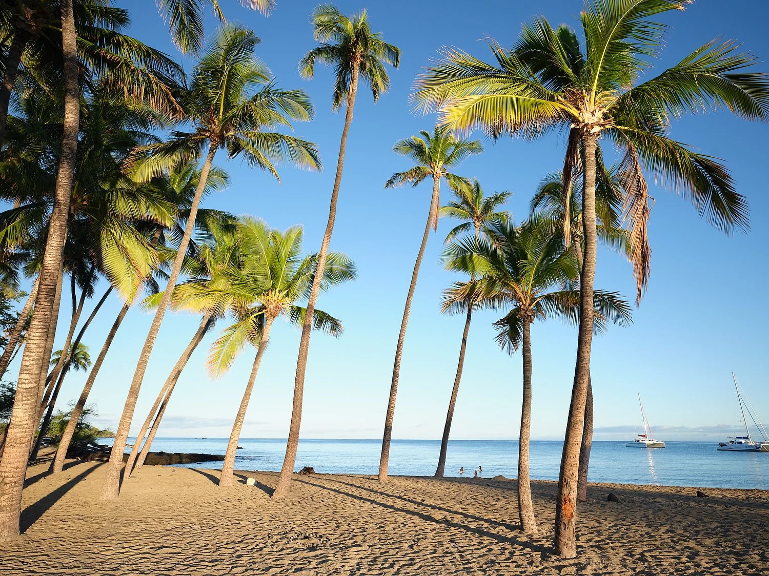 Waikoloa MVC beach 6.TIF.JPG