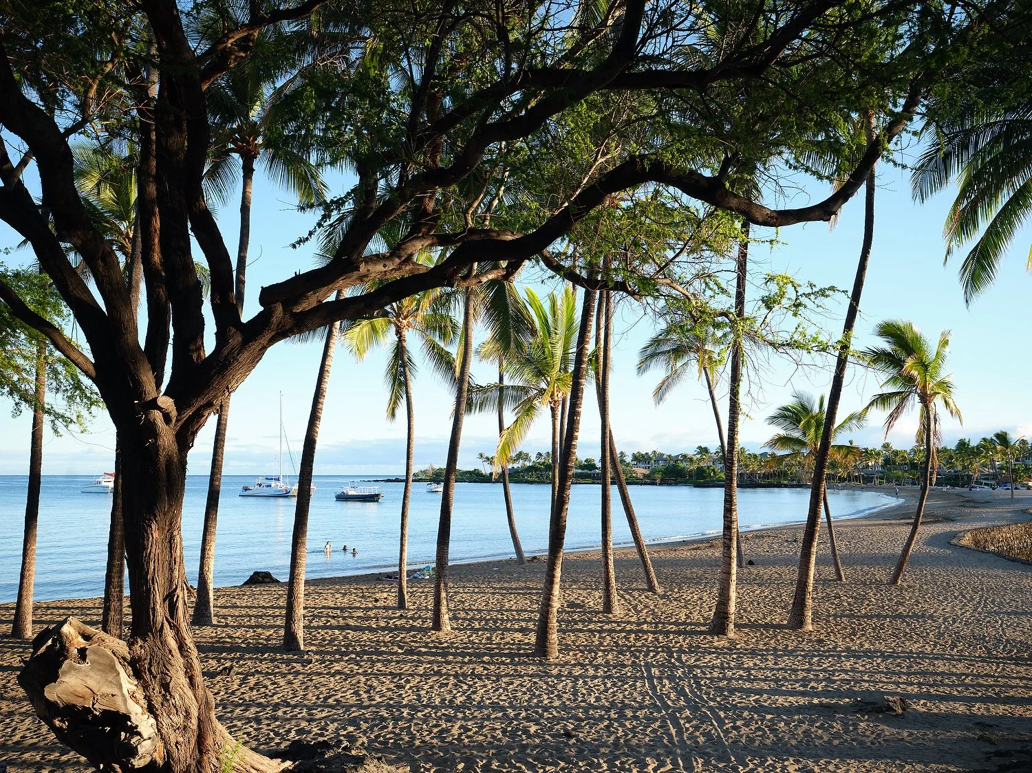 Waikoloa MVC beach 8.TIF.JPG