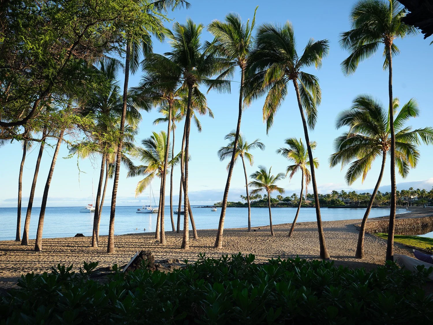 Waikoloa MVC beach.TIF.JPG