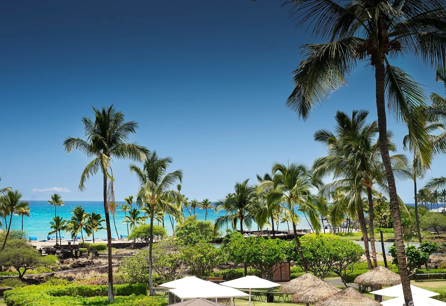 Waikoloa MVC general ocean view from rooms.TIF.JPG