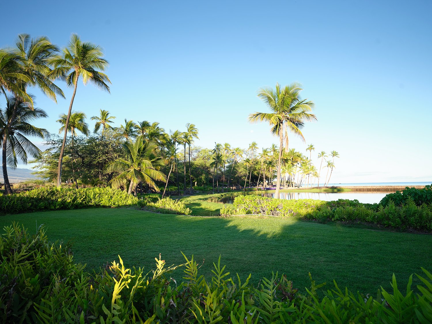 Waikoloa MVC grounds event area.JPG