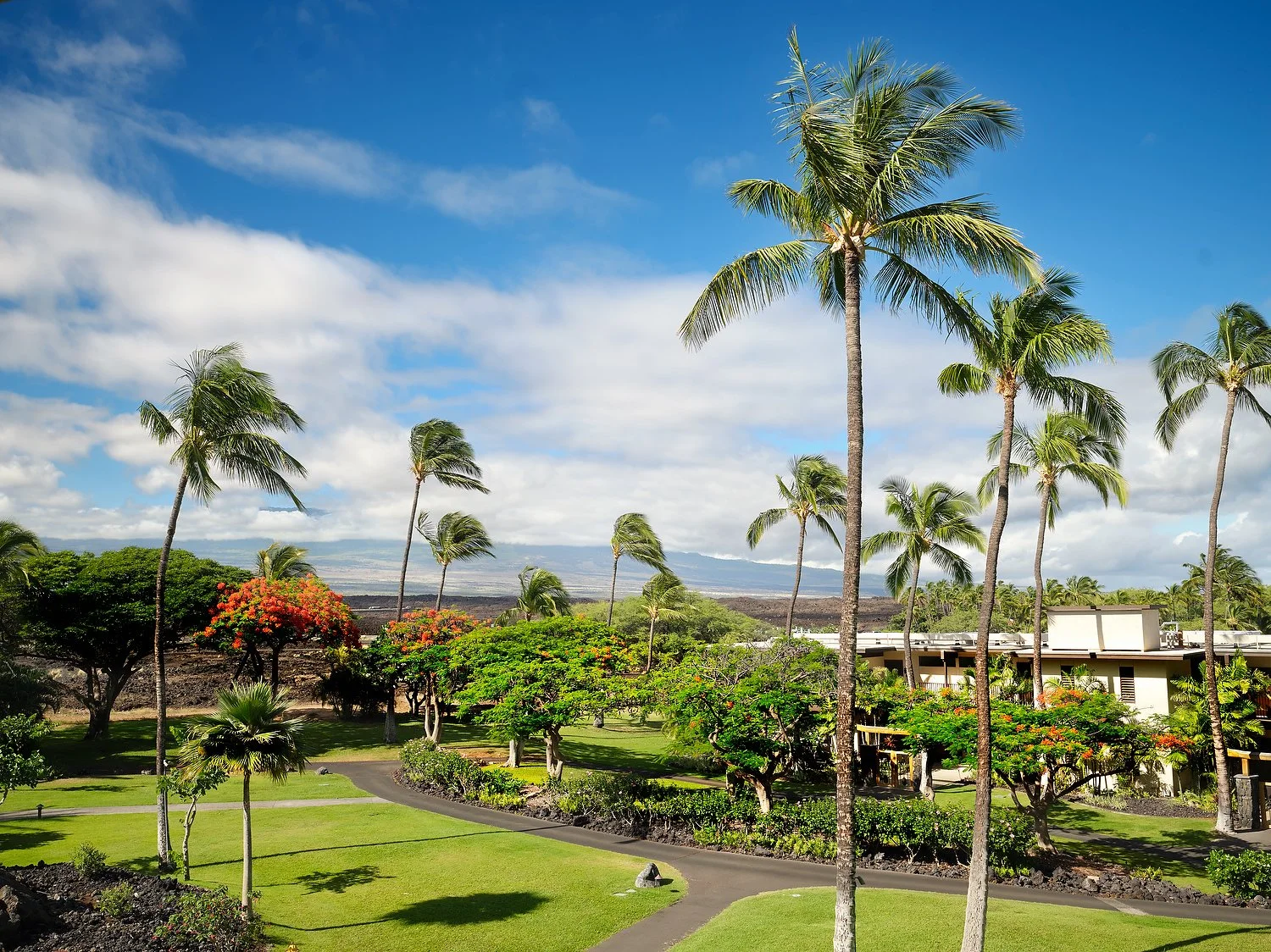 Waikoloa MVC OBVI one bedroom king suite rm 3112 view.TIF.JPG