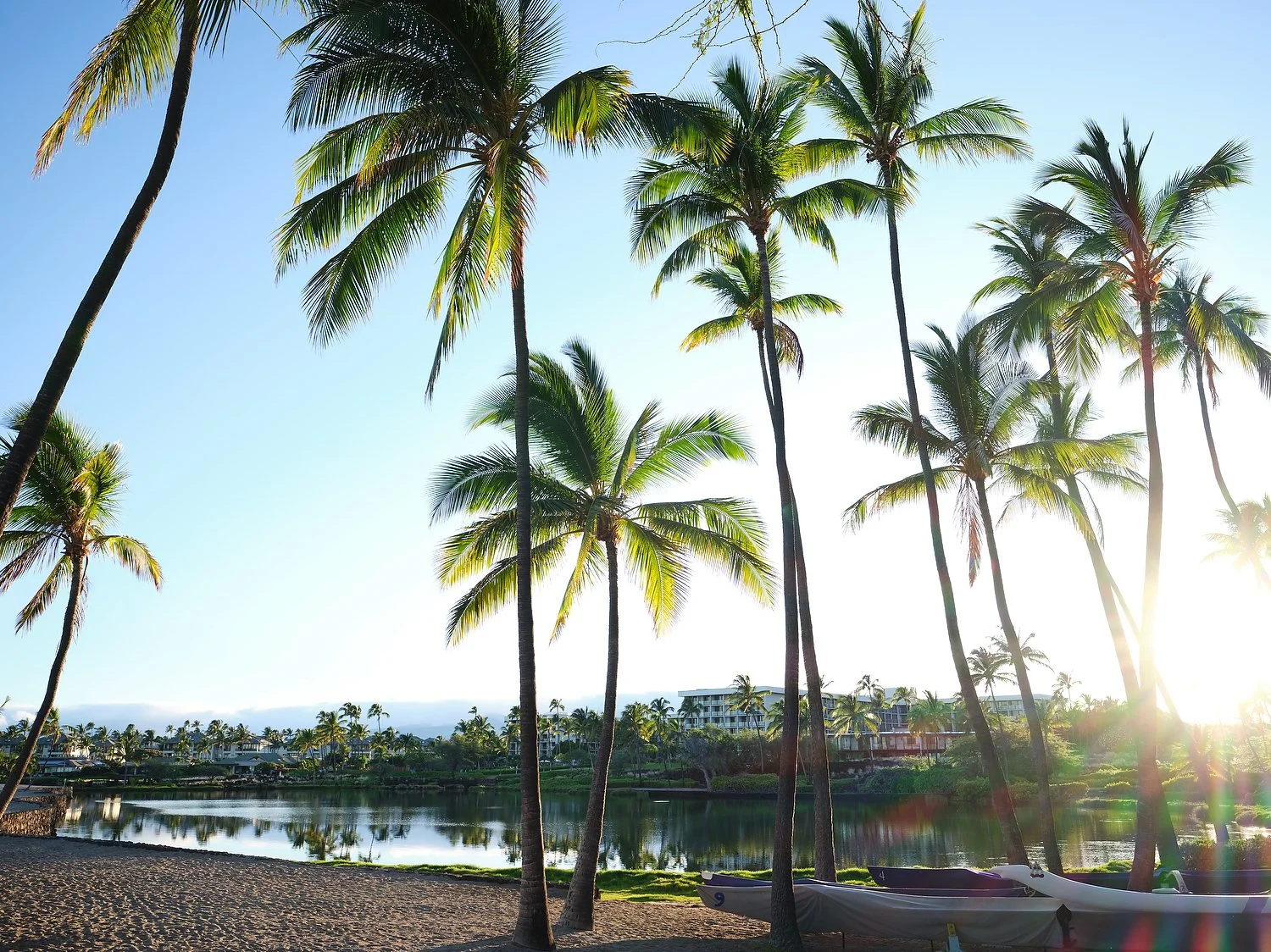 Waikoloa MVC resort with fish pond.JPG