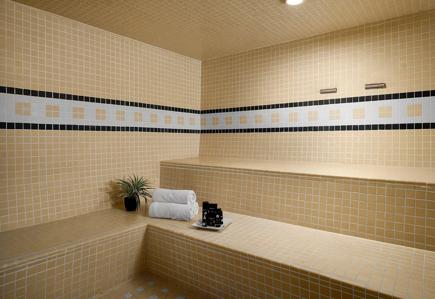 Waikoloa MVC spa steam room.TIF.JPG