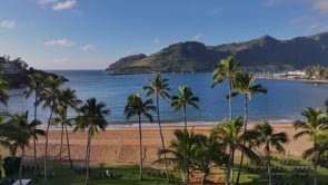 Kauai - R Benson_V1.2B_Palms