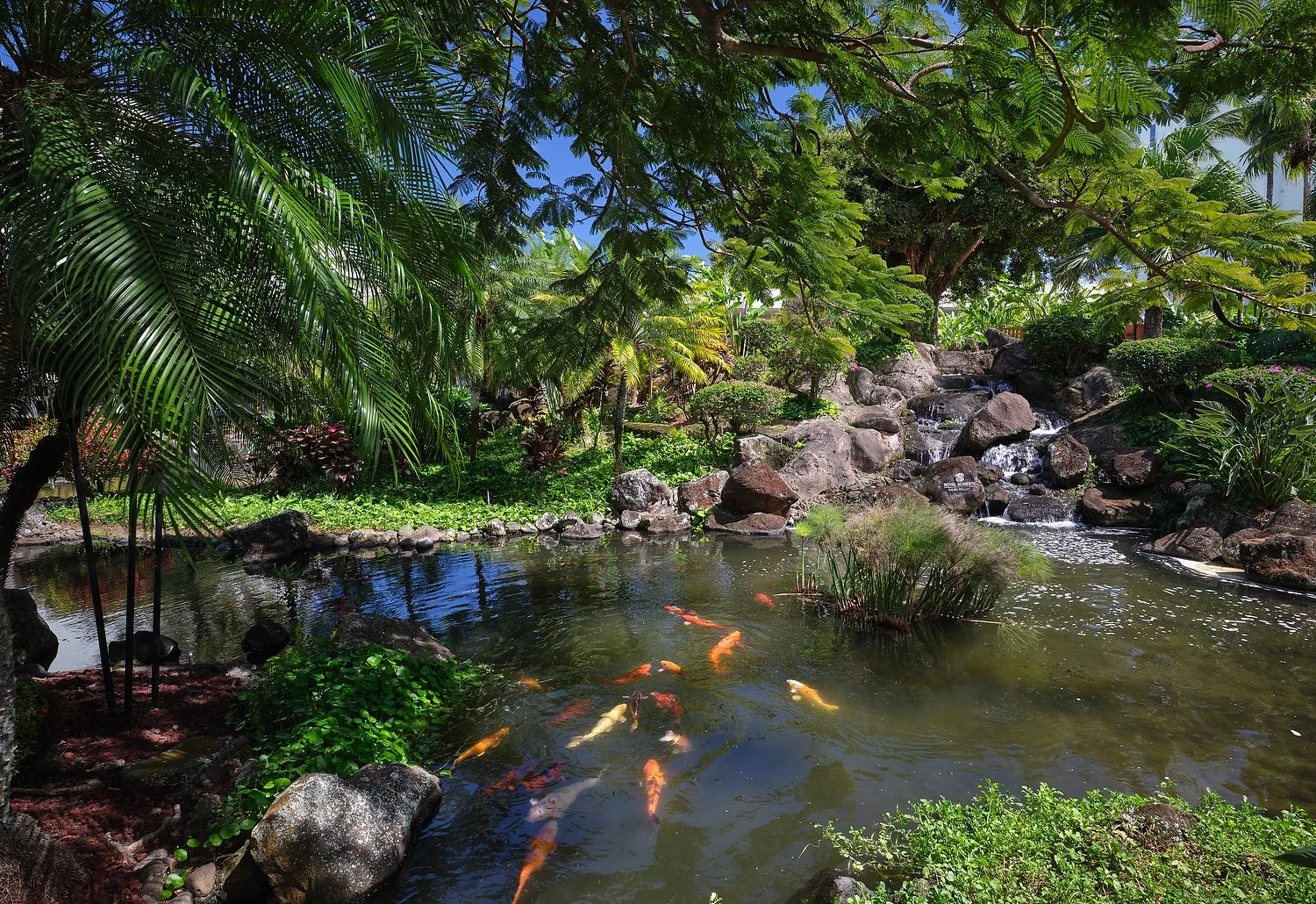 DSCF5004.JPG