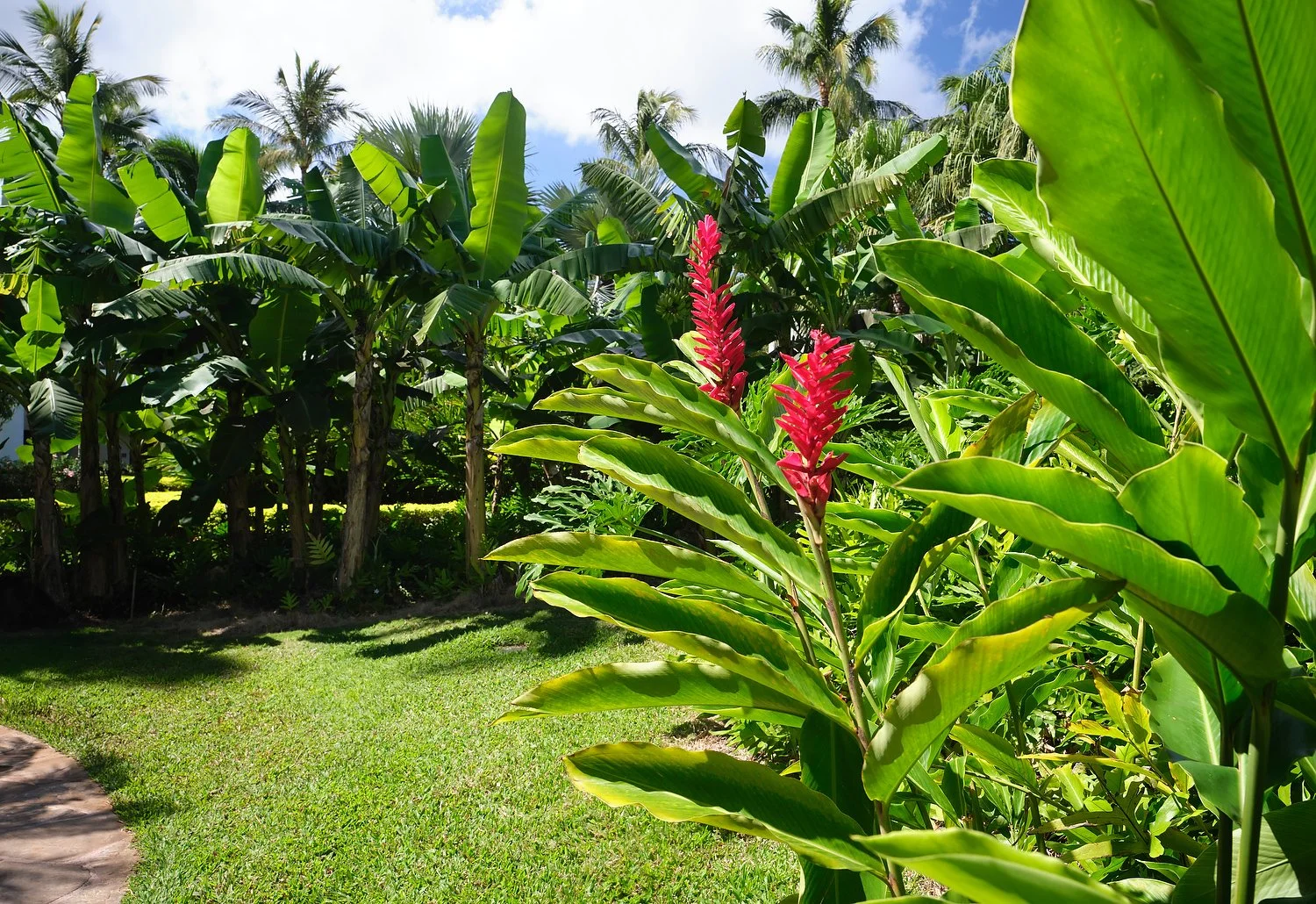 DSCF5045.JPG