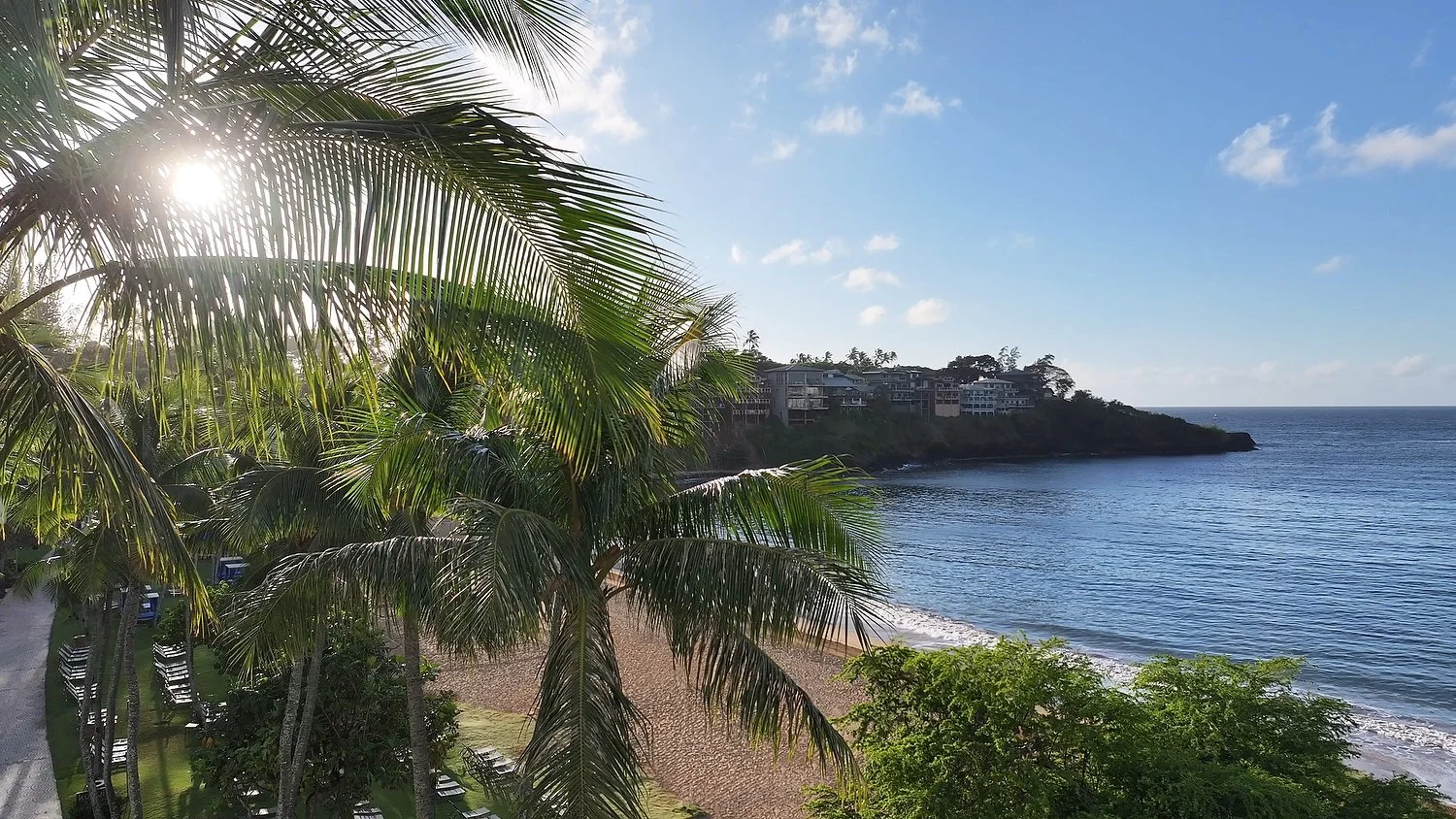 light in palms copy.JPG