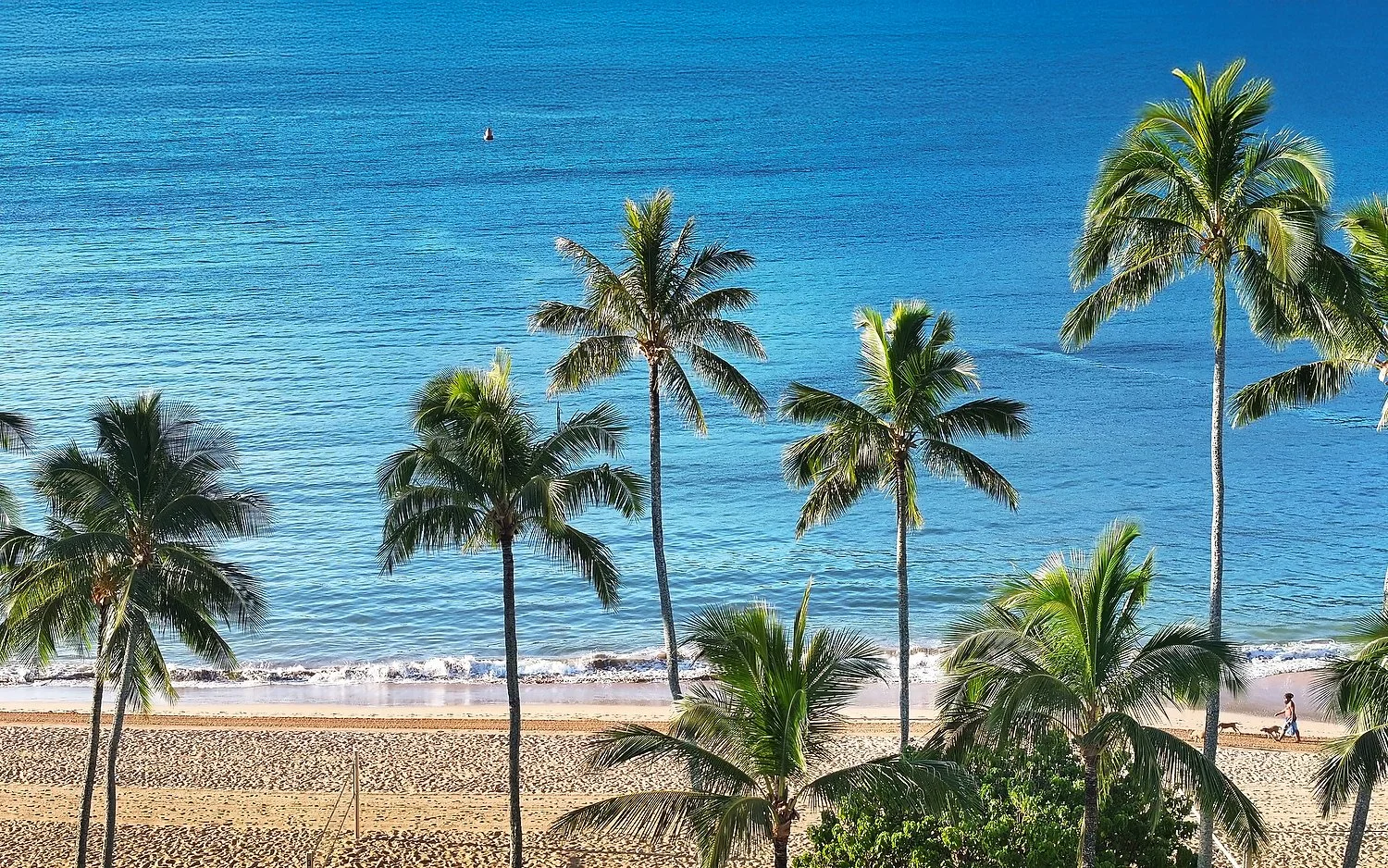 nice beach pano copy 3.JPG