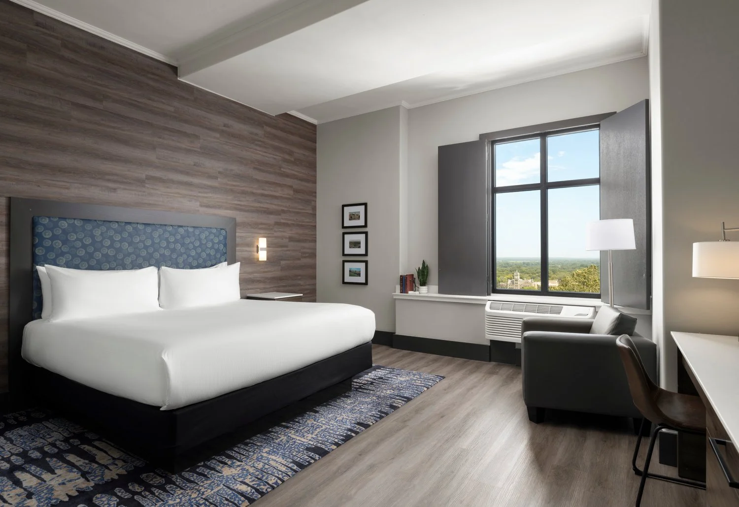 Kansas CIty Oread rm503 king.JPG