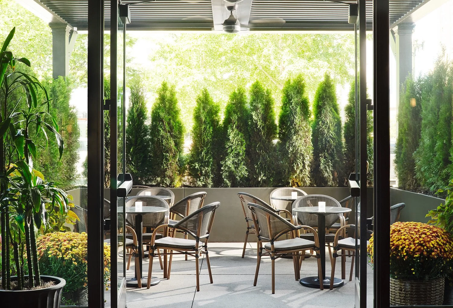 patio.JPG