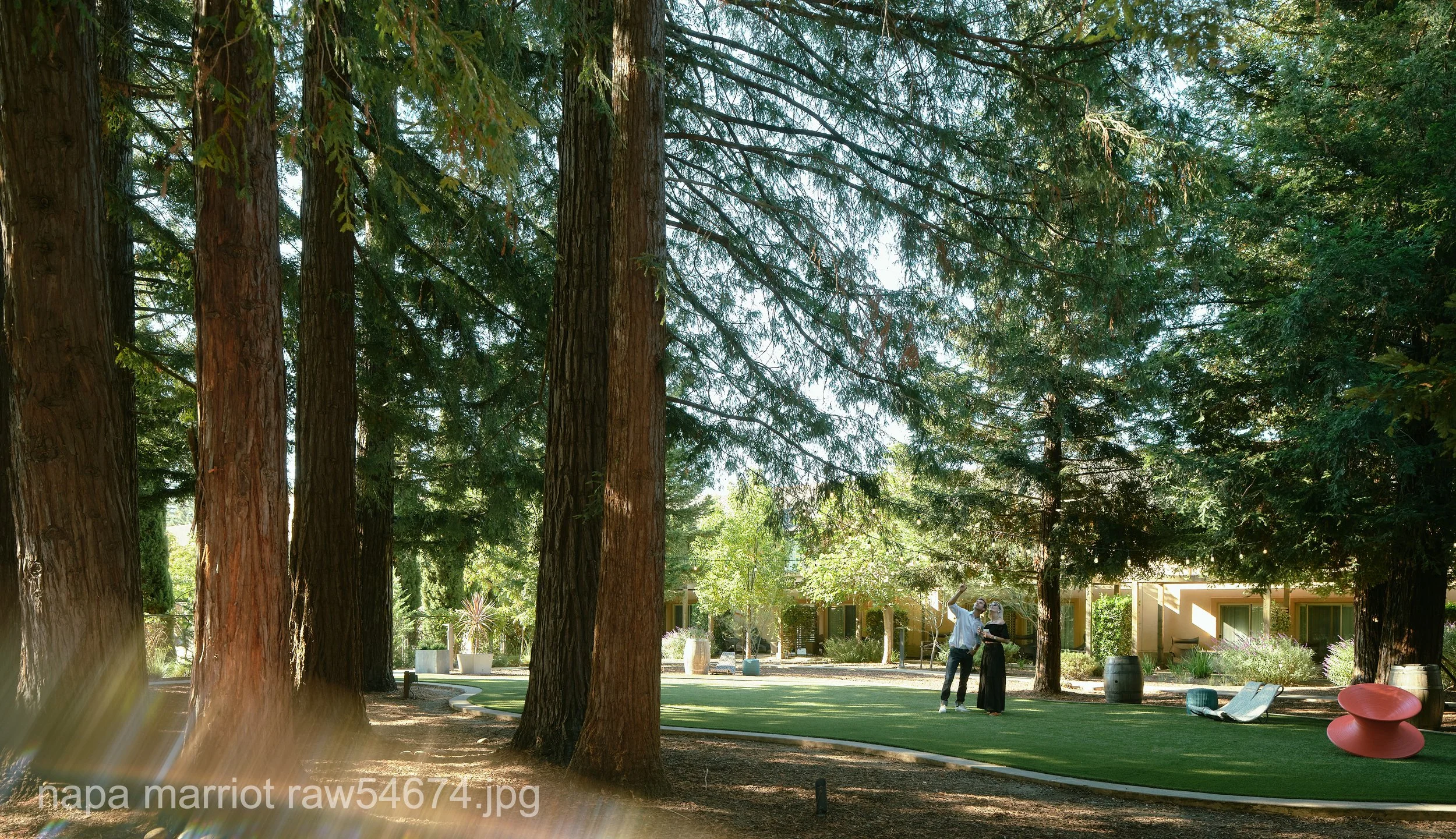 napa marriot raw54674.JPG