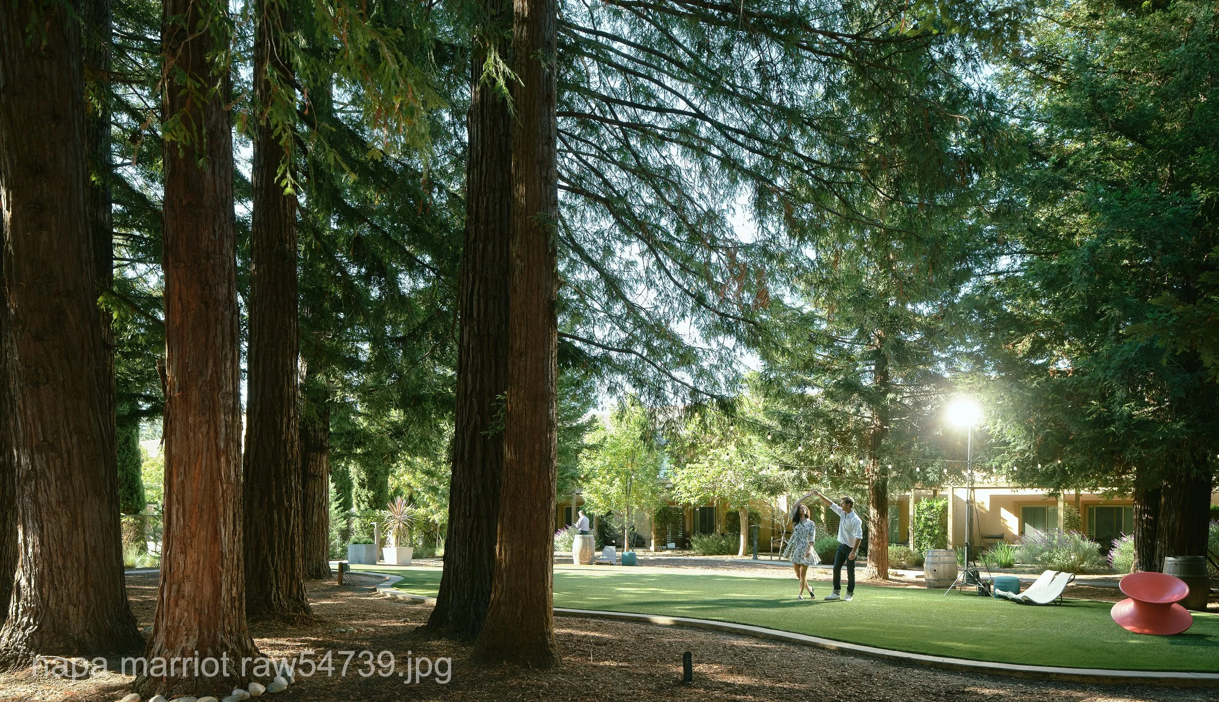 napa marriot raw54739.JPG