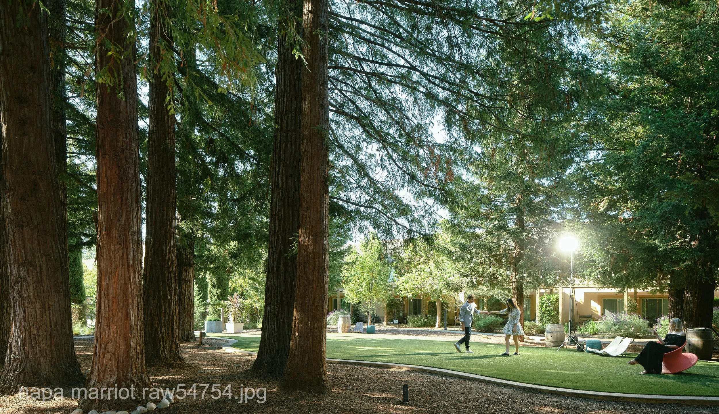 napa marriot raw54754.JPG
