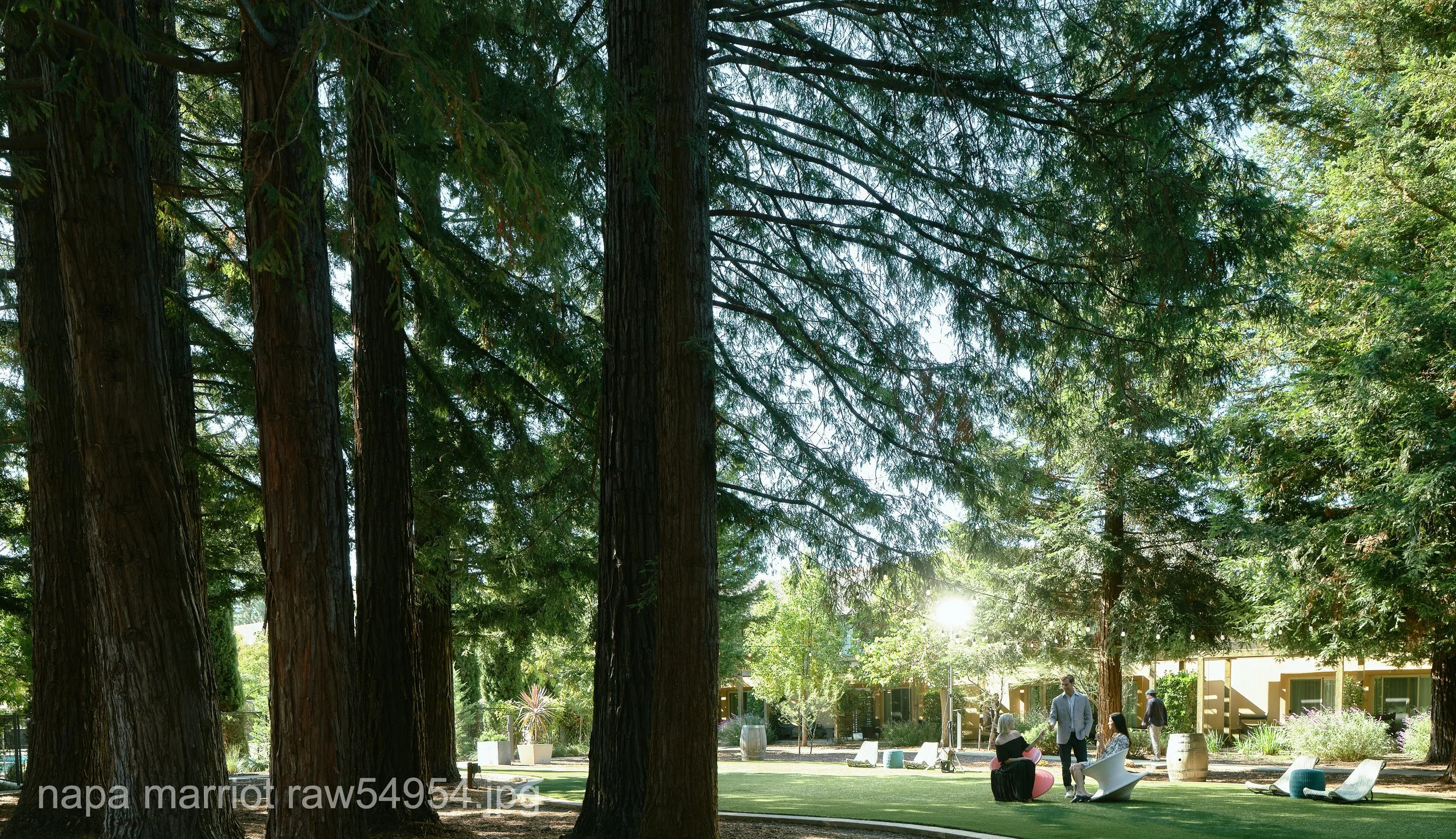 napa marriot raw54954.JPG