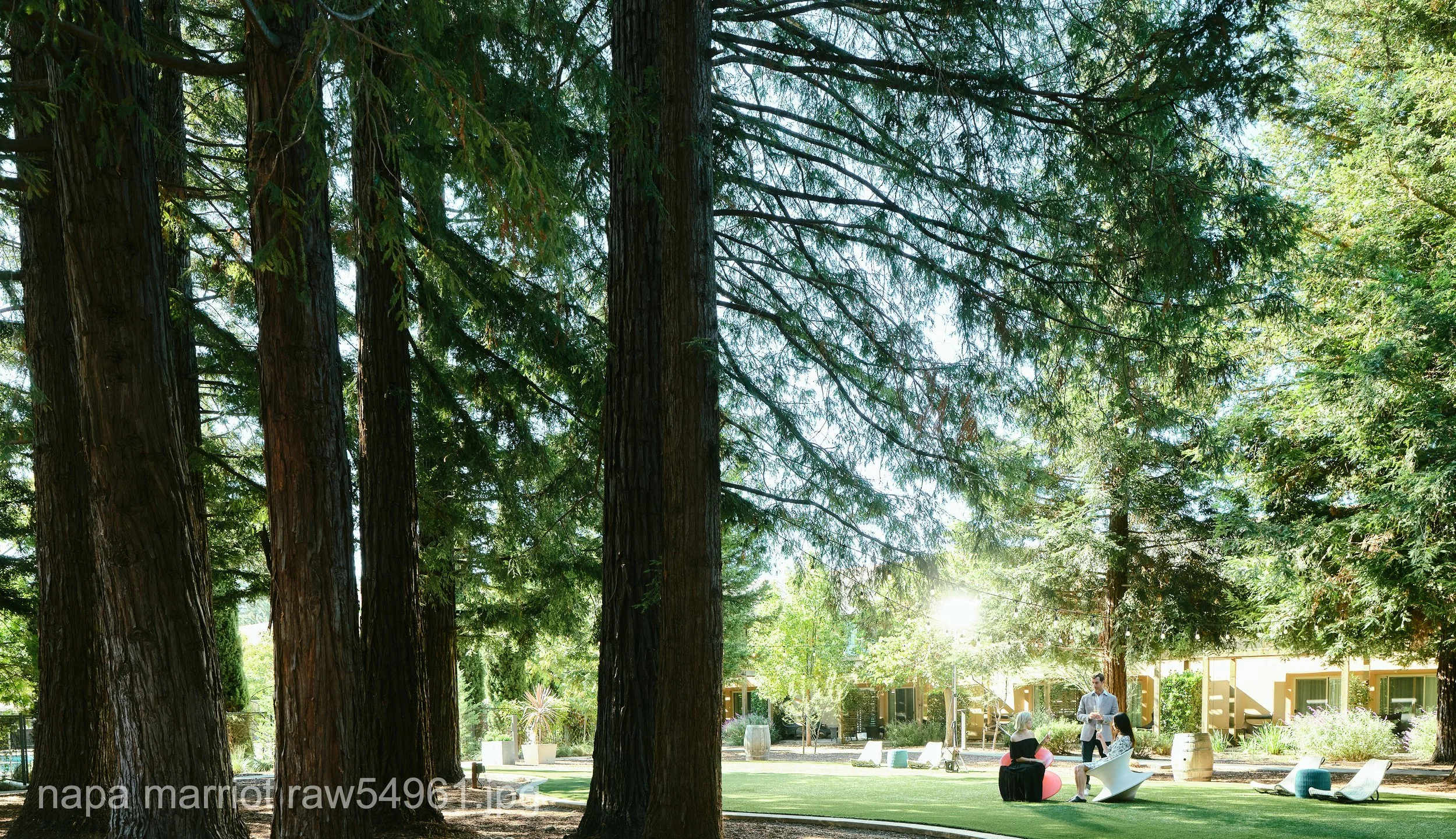 napa marriot raw54961.JPG