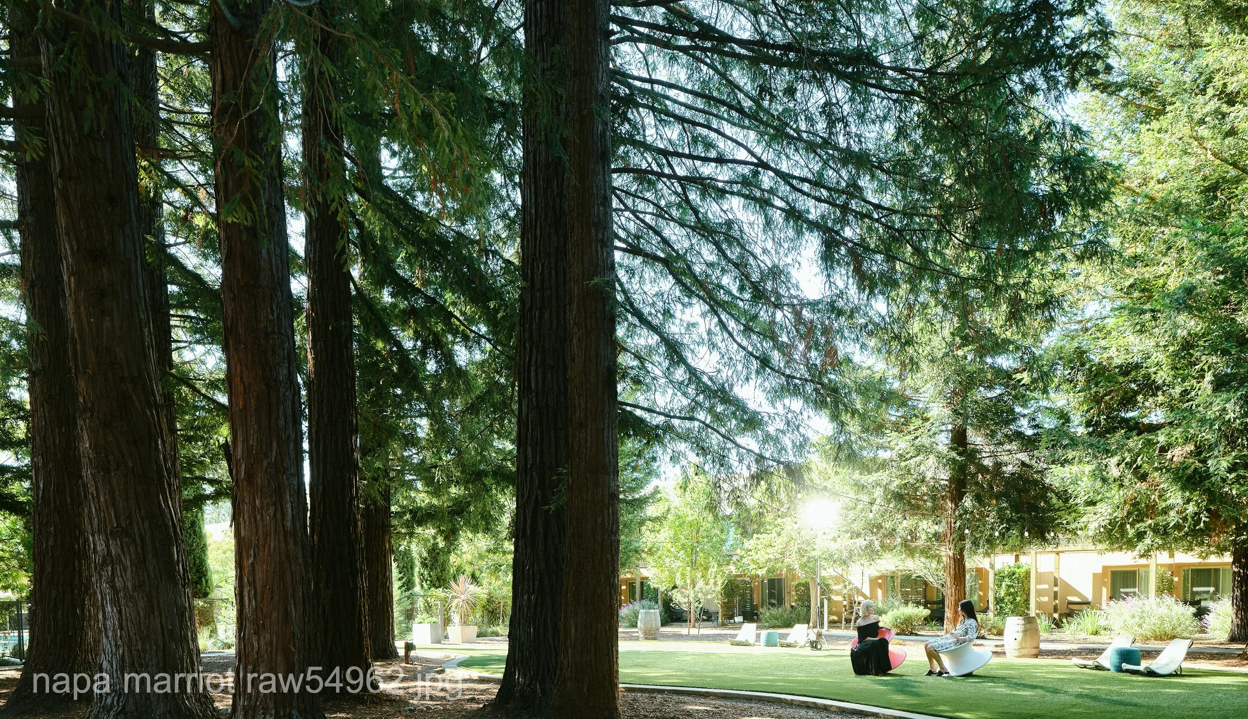 napa marriot raw54962.JPG