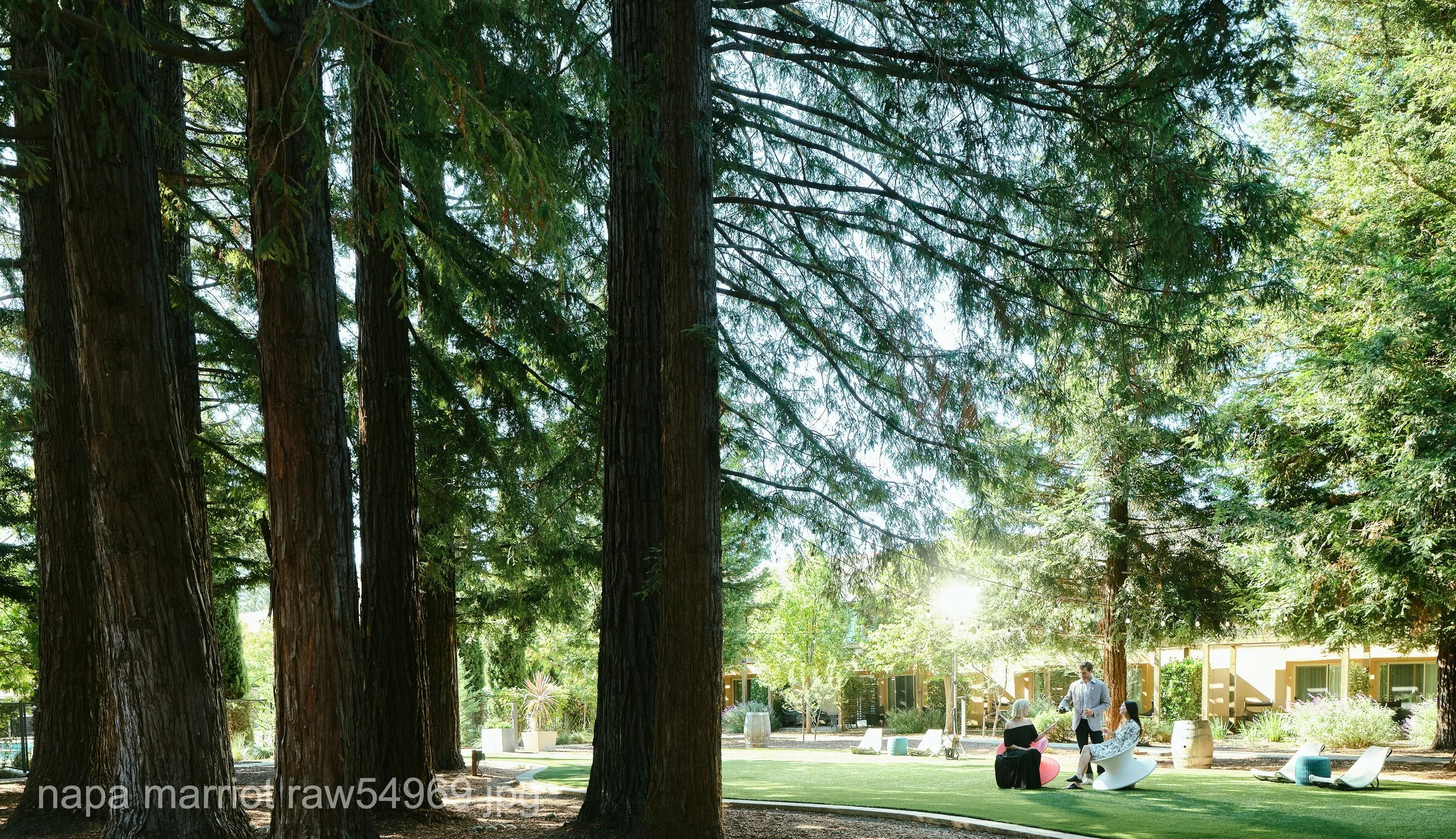 napa marriot raw54969.JPG