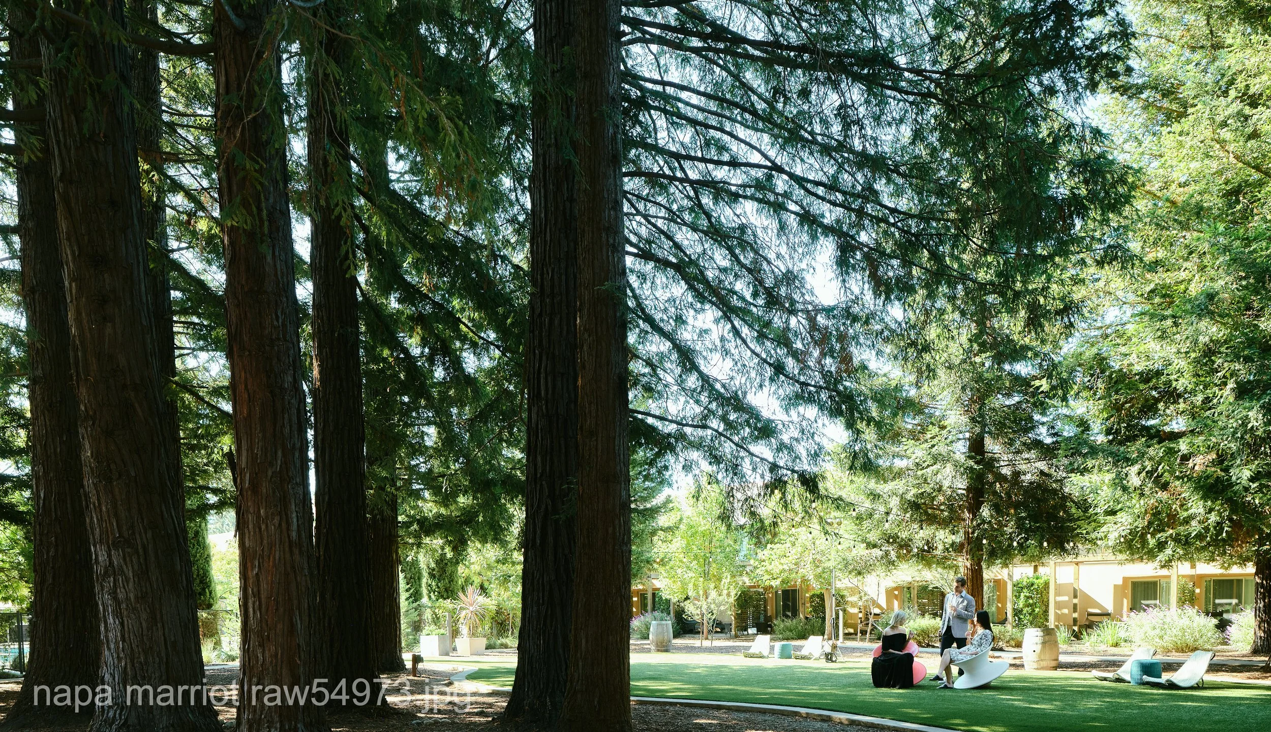 napa marriot raw54973.JPG