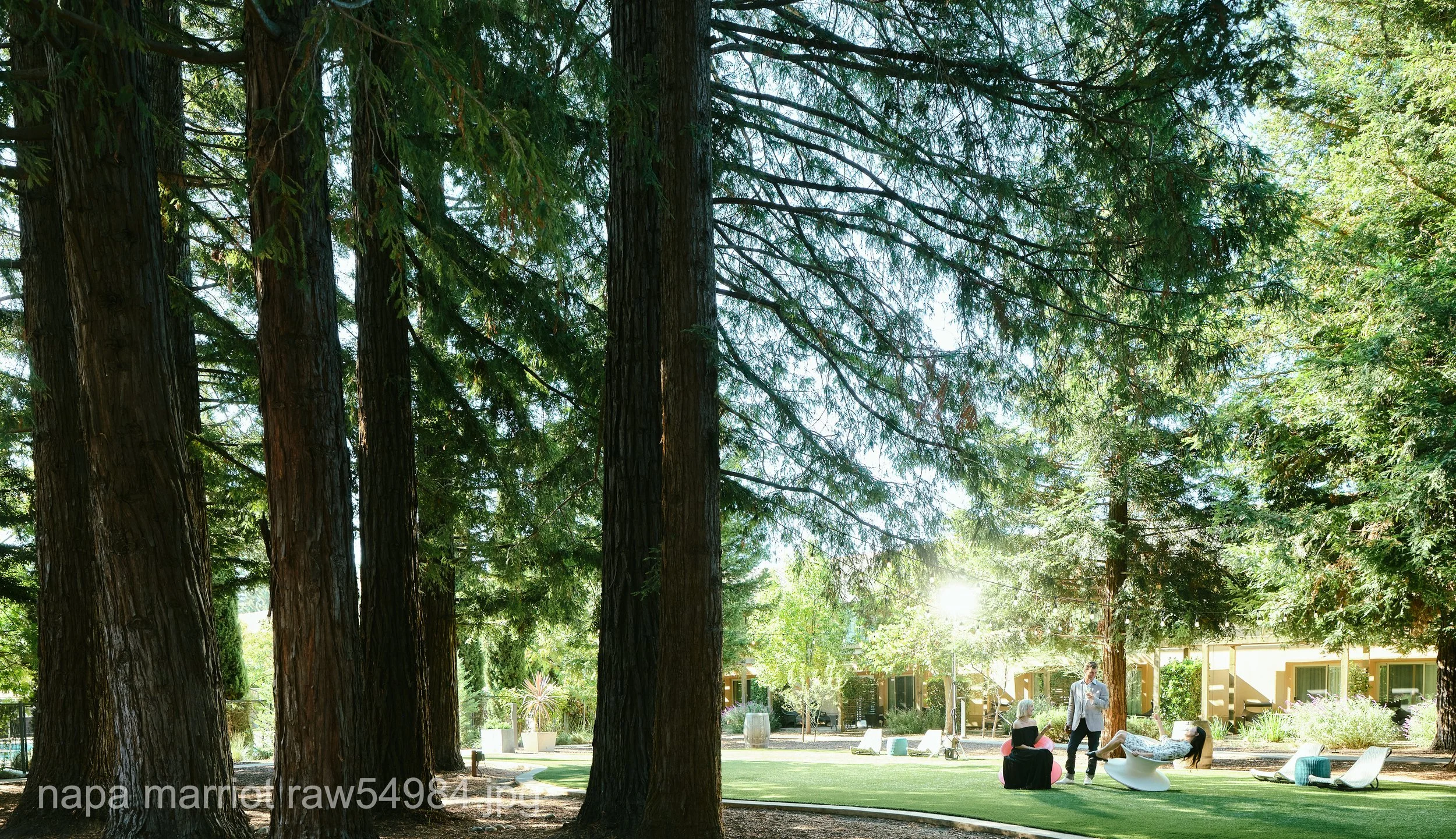 napa marriot raw54984.JPG