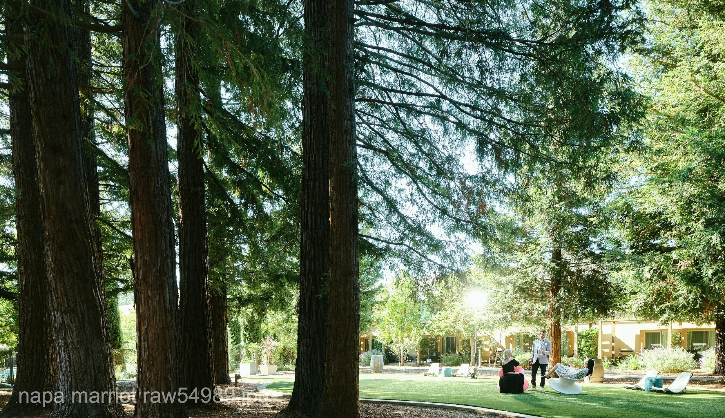 napa marriot raw54989.JPG