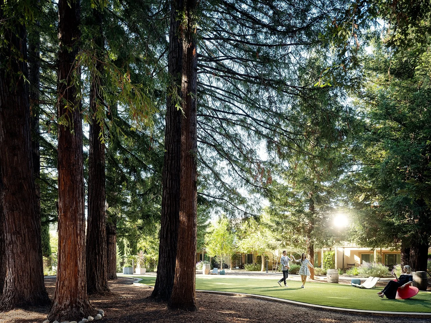 napa-marriot-raw54752-AdRetouchStudio.JPG