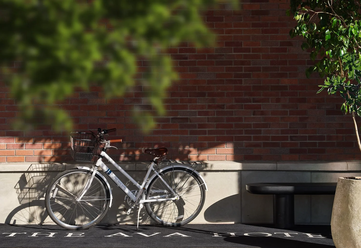bicycleV1V1.JPG