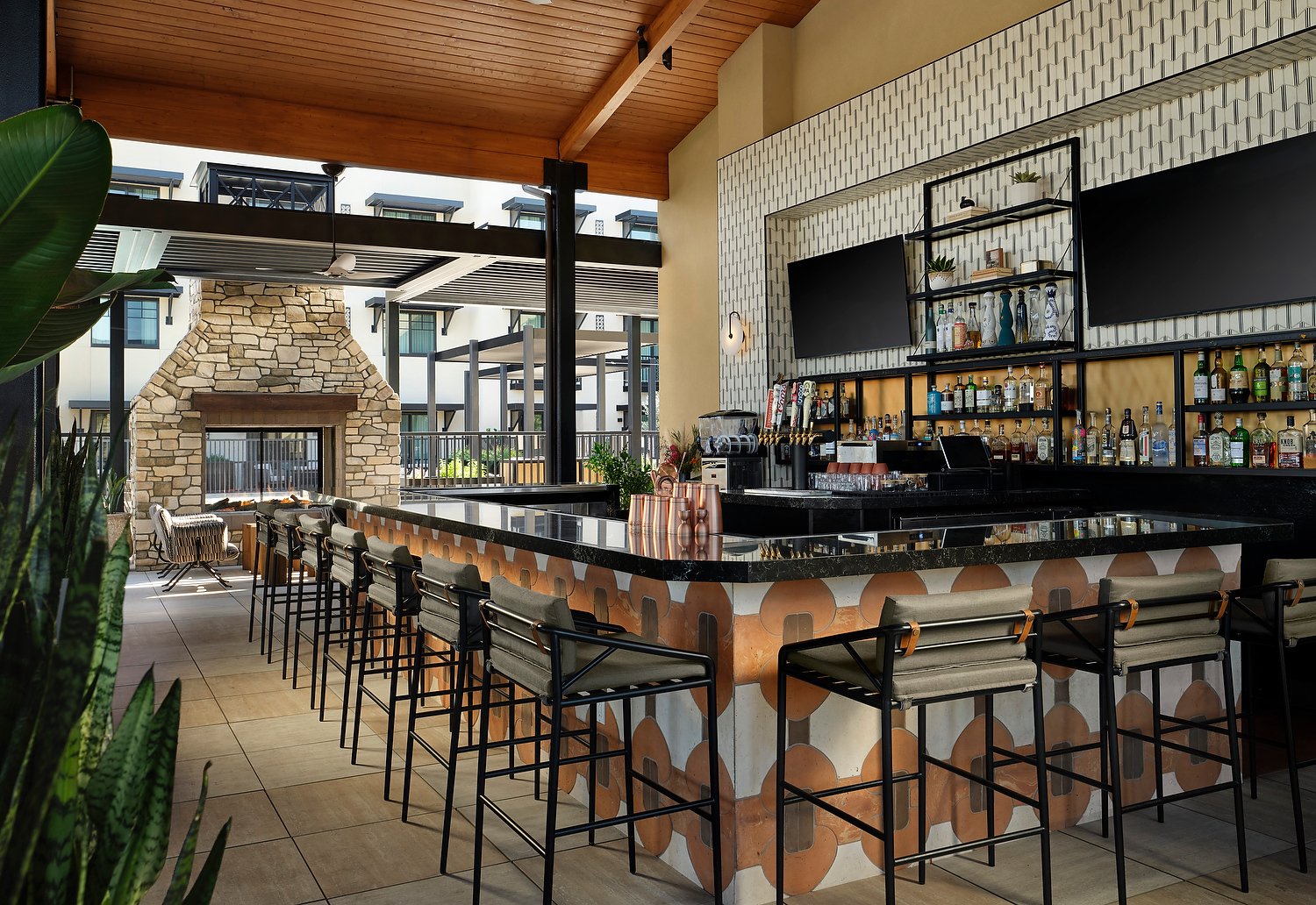 PASA robles P v2a.JPG