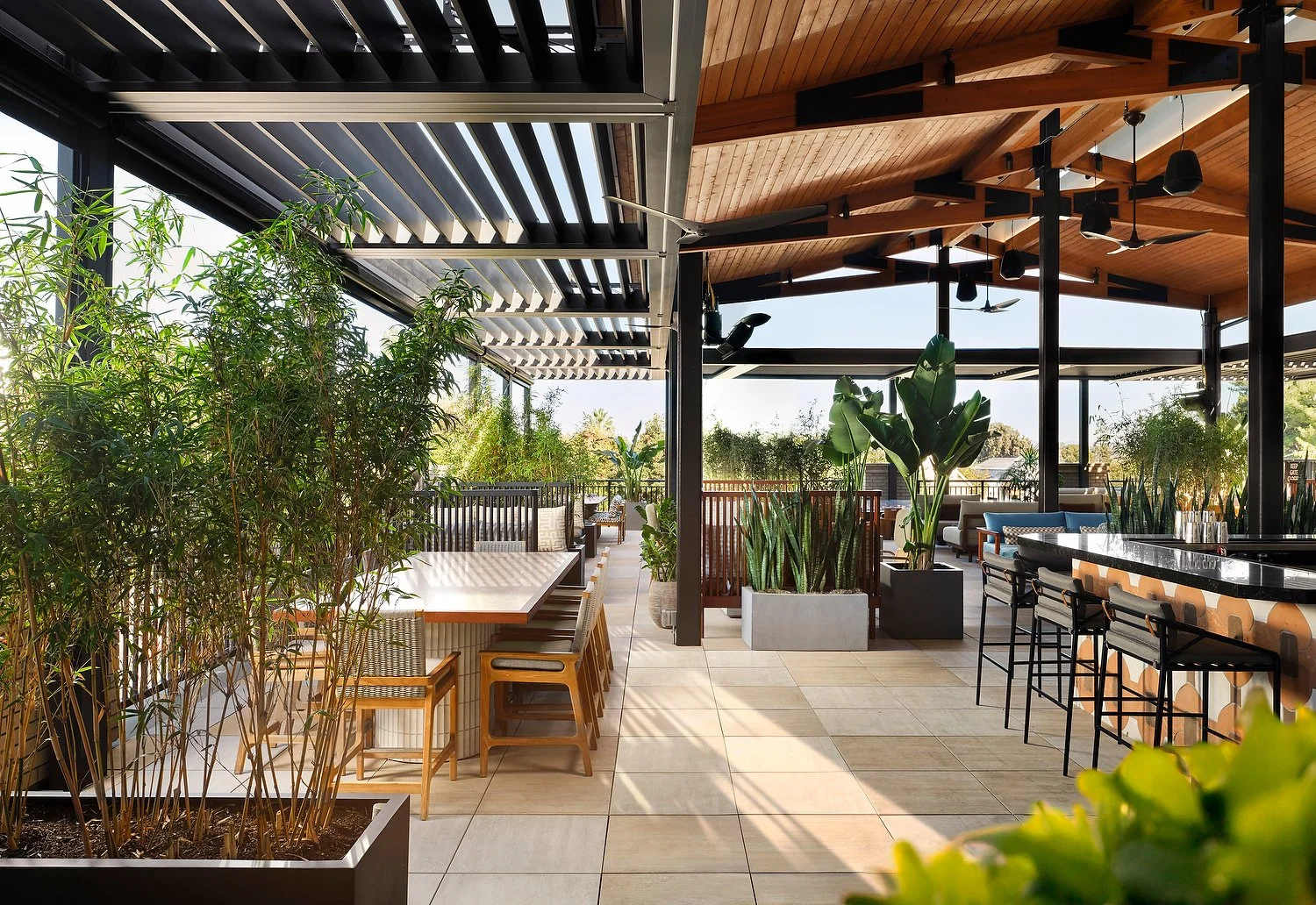 PASA robles T - Edited.JPG