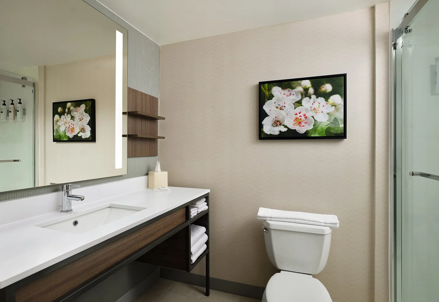 HGI Jackson rm 524 bathroom.JPG