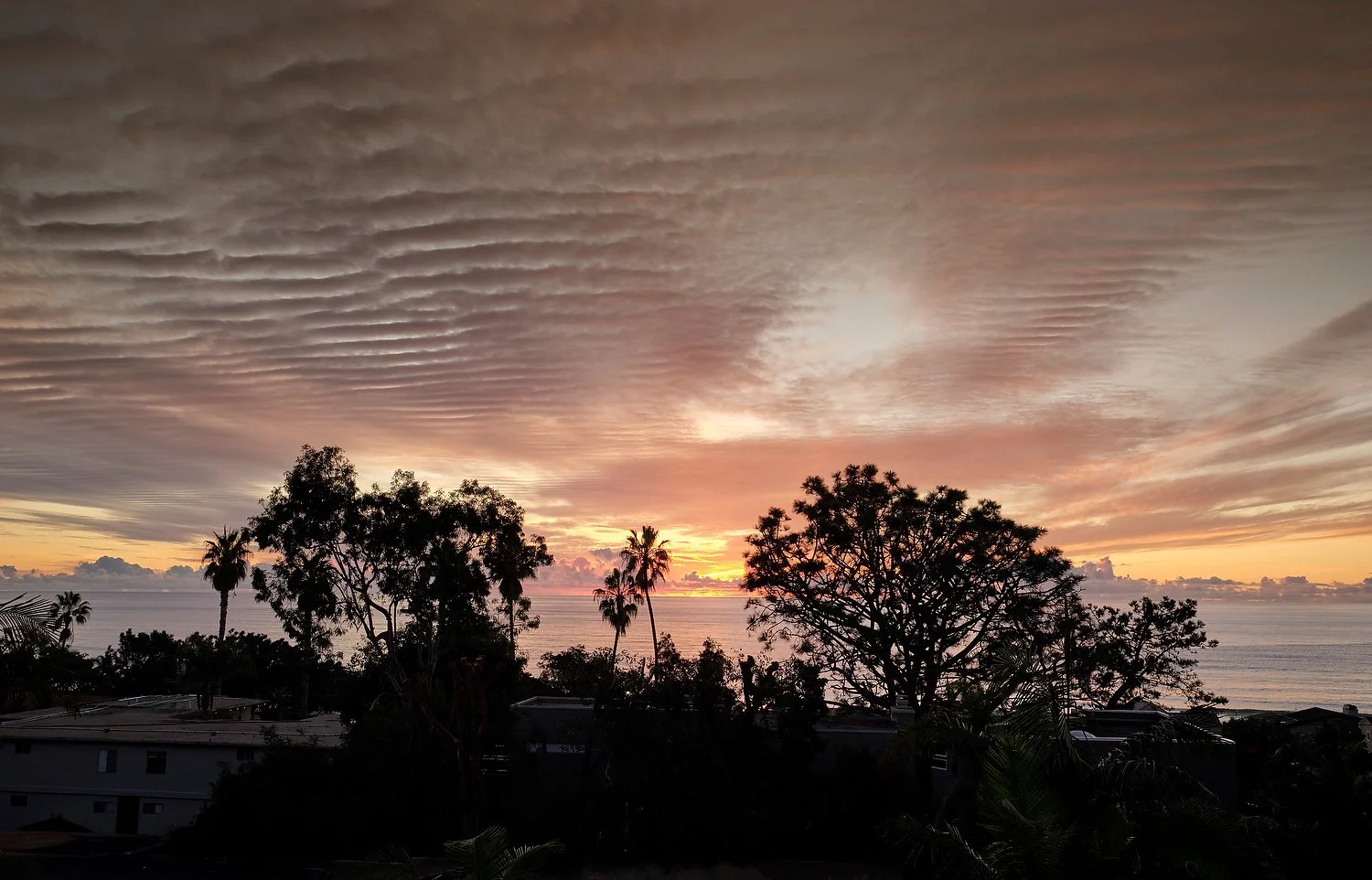 General ocean view.JPG