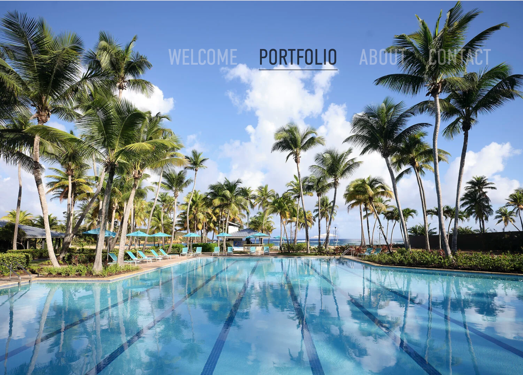 Screenshot 2026-02-16 at 12.13.40 PM.png