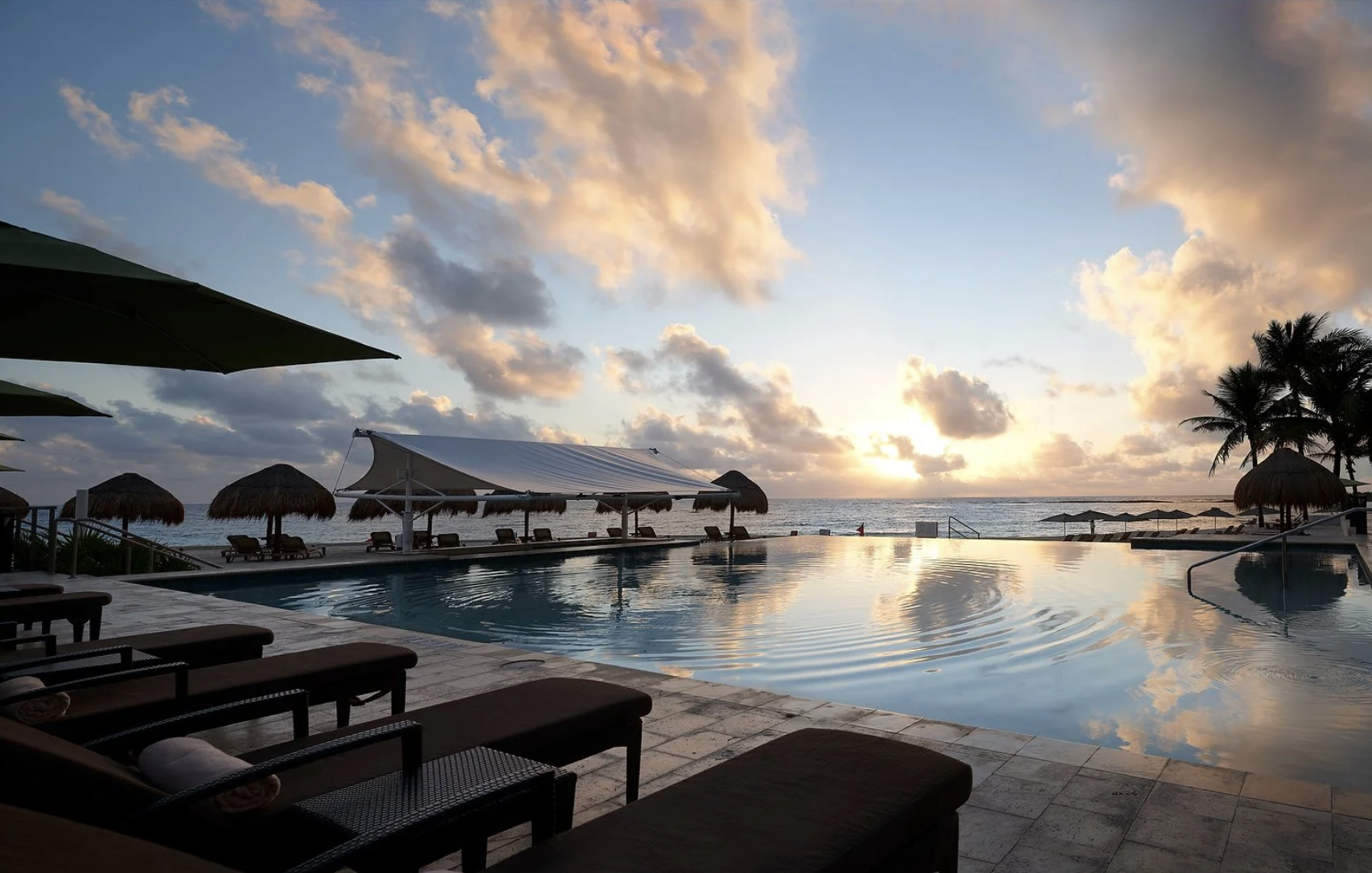 Screenshot 2026-02-16 at 12.13.53 PM.png