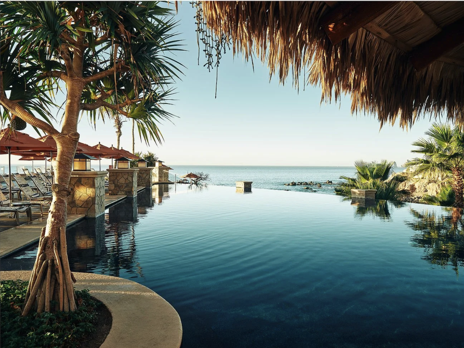 Screenshot 2026-02-16 at 12.14.31 PM.png