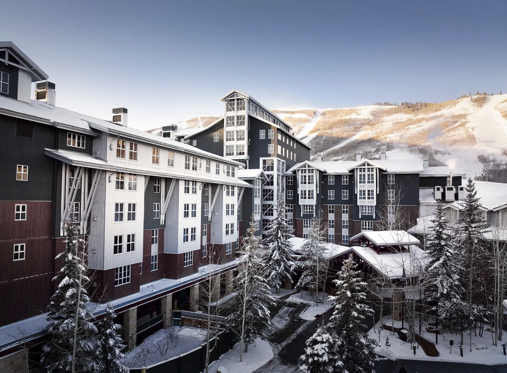 Screenshot 2026-02-16 at 12.16.11 PM.png