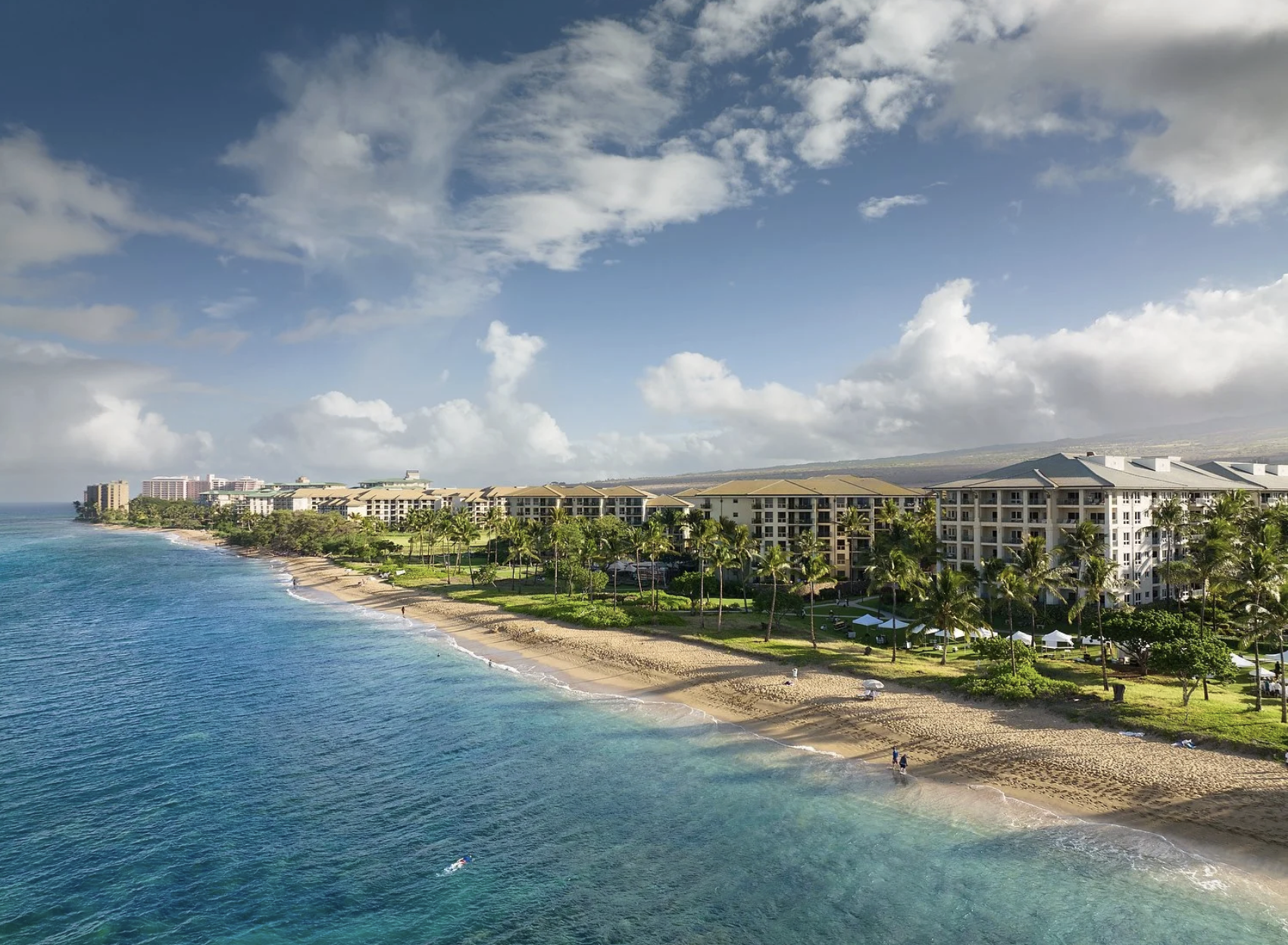 Screenshot 2026-02-16 at 12.16.53 PM.png