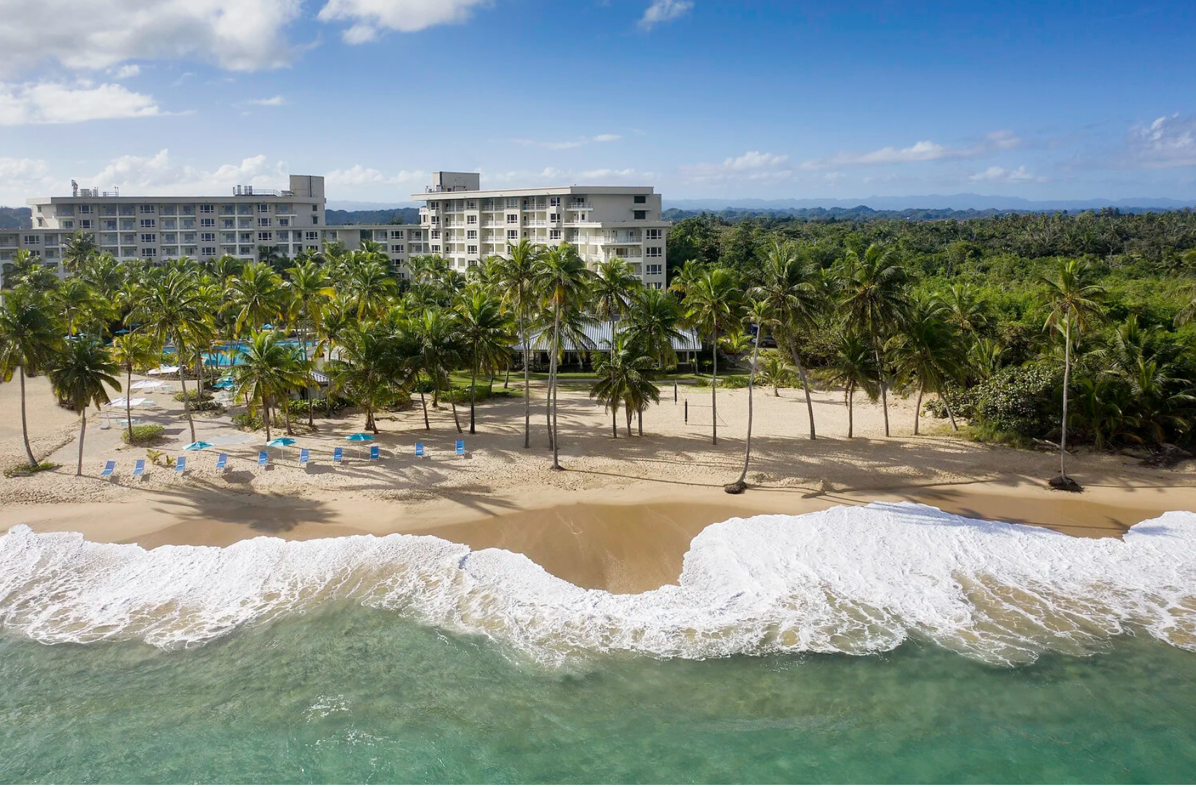 Screenshot 2026-02-16 at 12.17.33 PM.png