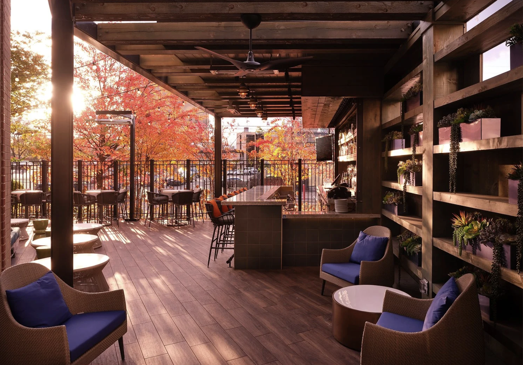 Screenshot 2026-02-16 at 12.22.13 PM.png