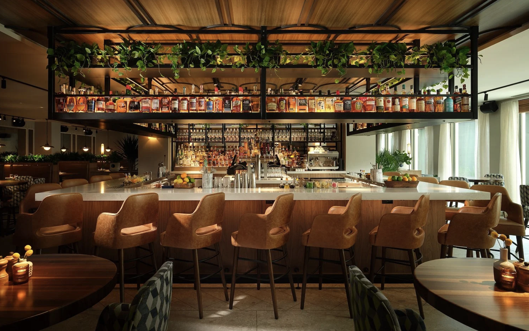 Screenshot 2026-02-16 at 12.24.11 PM.png