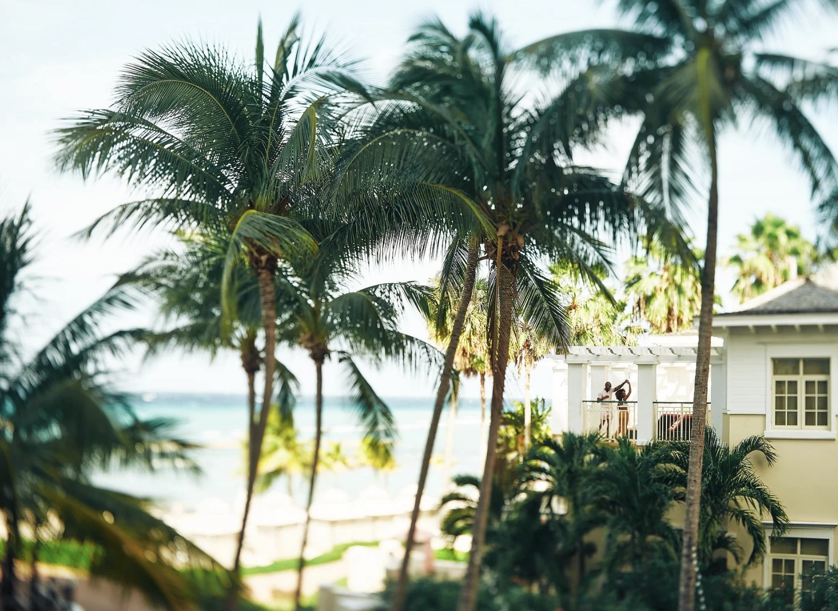 Screenshot 2026-02-16 at 12.32.54 PM.png