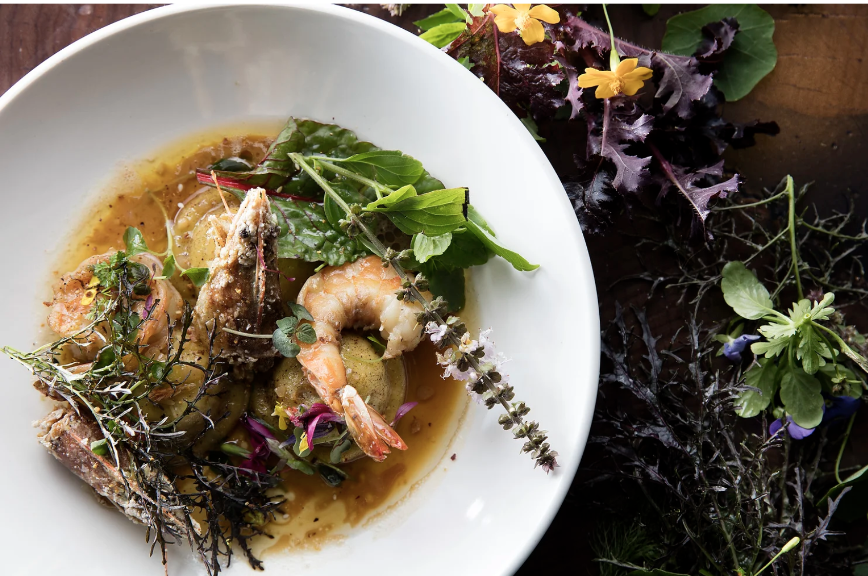 Screenshot 2026-02-16 at 12.37.42 PM.png