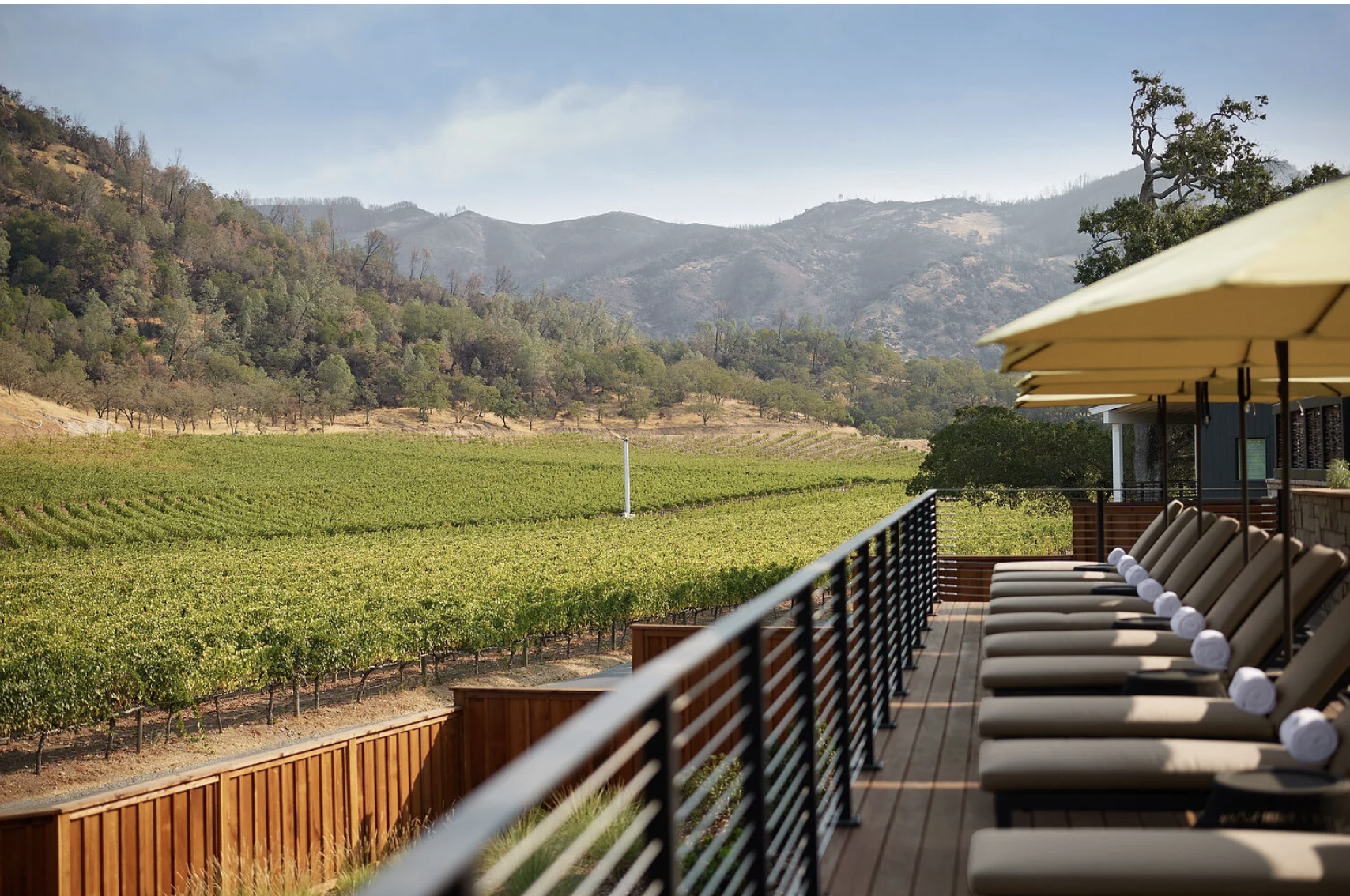 Screenshot 2026-02-13 at 11.22.20 AM.png