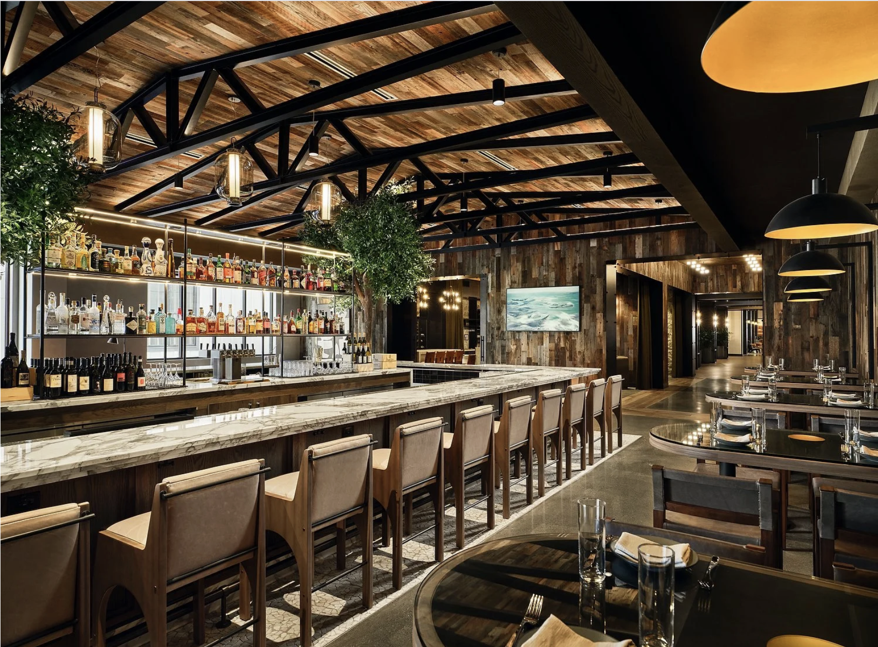 Screenshot 2026-02-13 at 11.23.29 AM.png