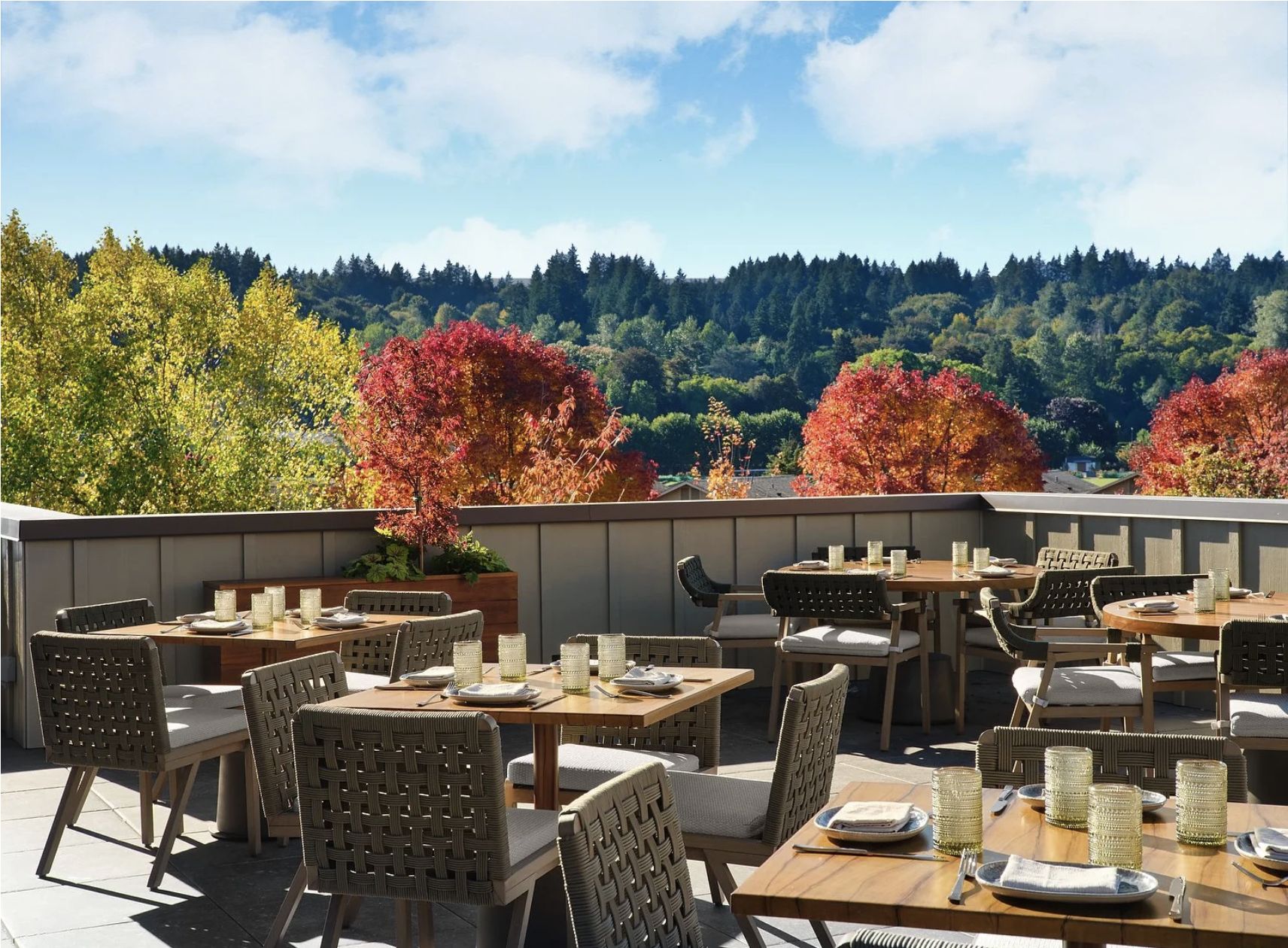 Screenshot 2026-02-13 at 11.23.56 AM.png